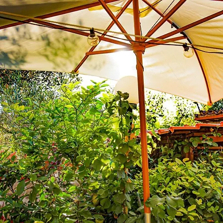 Eden Lilli La Pieve (Pesaro and Urbino)